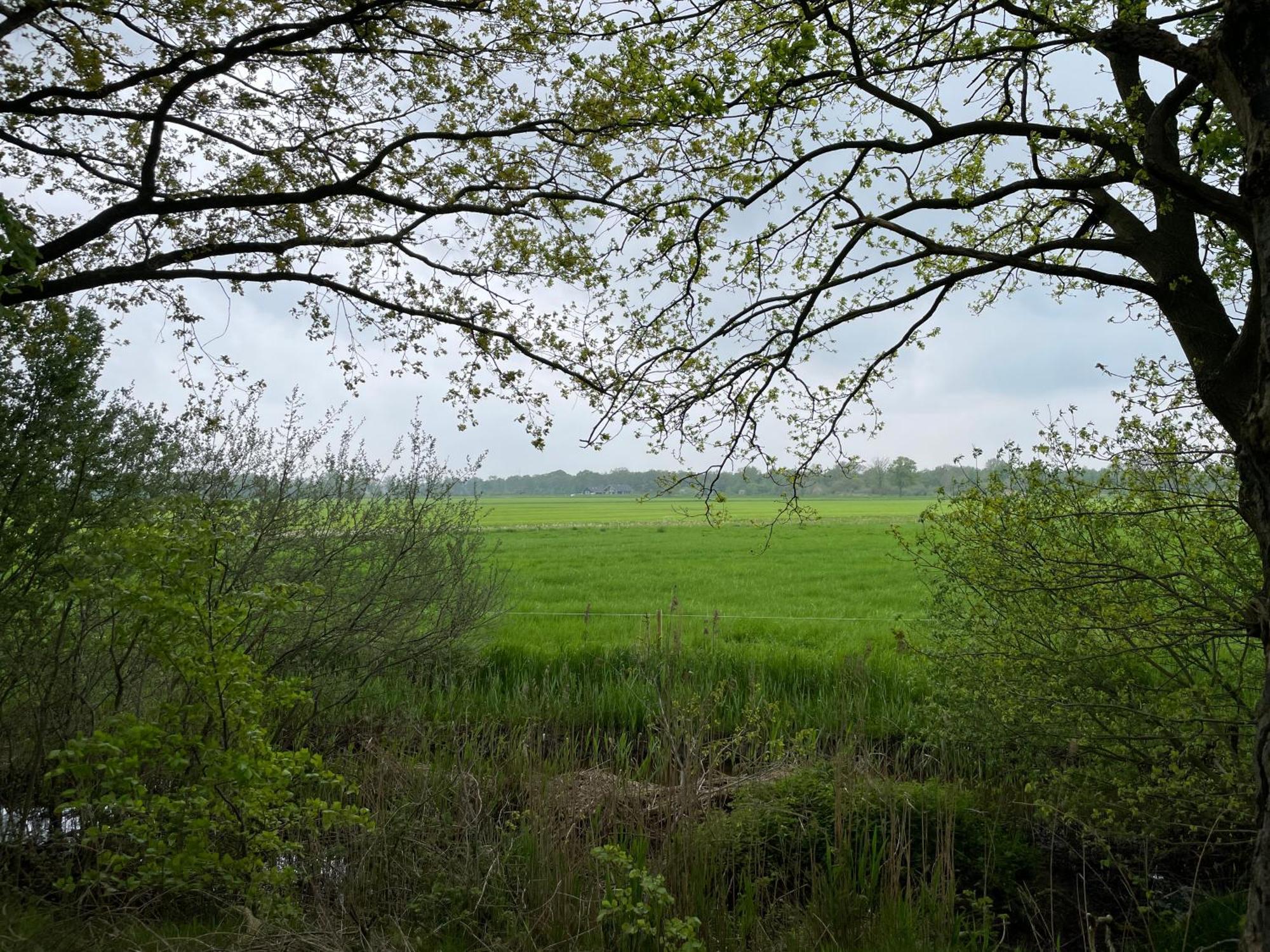Het Riethuis Holthone Exterior foto